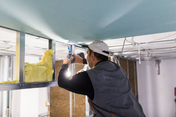 Best Insulation Installation Services in Scott City, KS