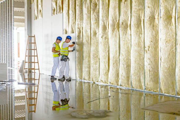 Best Insulation Maintenance and Repair in Scott City, KS